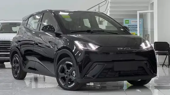 BYD DOLPHIN MINI 38 KW ELÉTRICO GS
