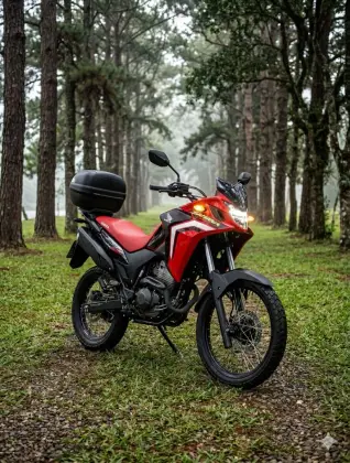 HONDA XRE 300 SAHARA RALLY 