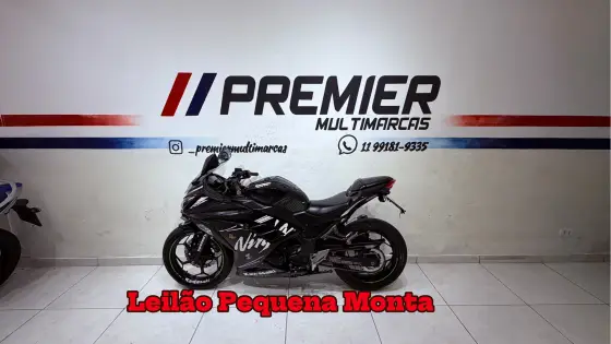 KAWASAKI NINJA 300 KAWASAKI NINJA 300