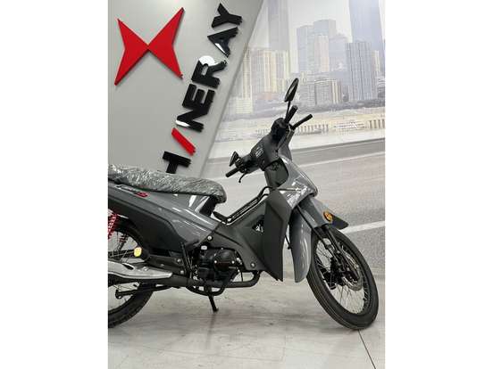 SHINERAY-PHOENIX S 50 SHINERAY-PHOENIX S 50-2026