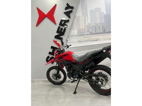 SHINERAY-SHI 175-2026