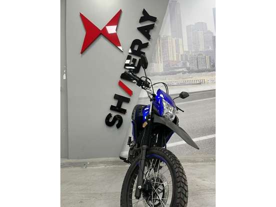 SHINERAY-SHI 175-2026