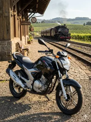 YAMAHA YS 250 FAZER BLUEFLEX 