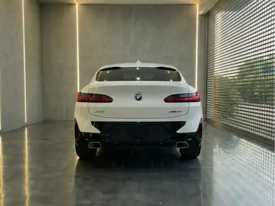BMW-X4-2.0 16V GASOLINA XDRIVE30I M SPORT STEPTRONIC BMW-X4-2024