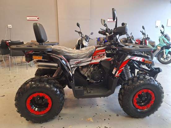SHINERAY-ATV 200 SHINERAY-ATV 200-2026