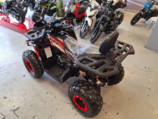 SHINERAY-ATV 200 SHINERAY-ATV 200-2026