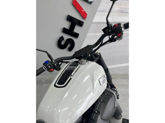SHINERAY TITANIUM 250 