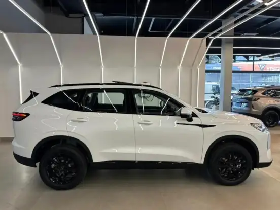 GWM-HAVAL H6-2025