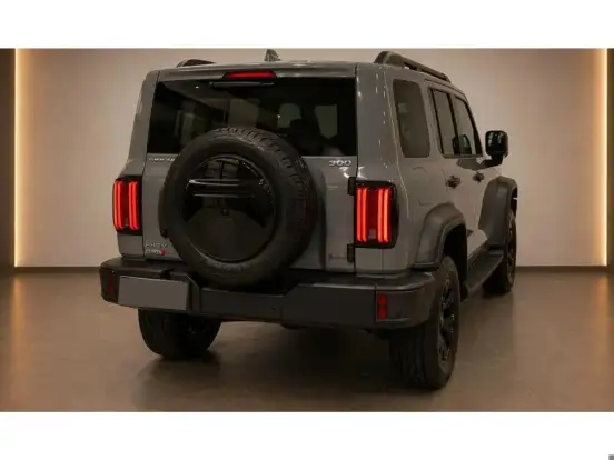 GWM-TANK 300-2.0 HI4-T PHEV FLEX 4X4 9HAT GWM-TANK 300-2026