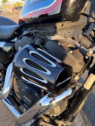 HARLEY-DAVIDSON-SPORTSTER IRON 1200-2020
