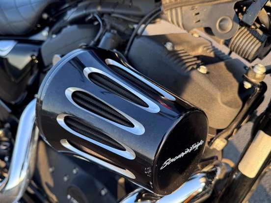 HARLEY-DAVIDSON-SPORTSTER IRON 1200 HARLEY-DAVIDSON-SPORTSTER IRON 1200-2020