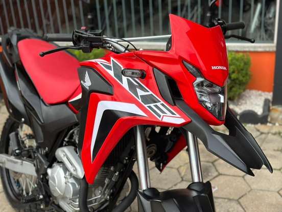 HONDA-XRE 300 RALLY HONDA-XRE 300 RALLY-2021