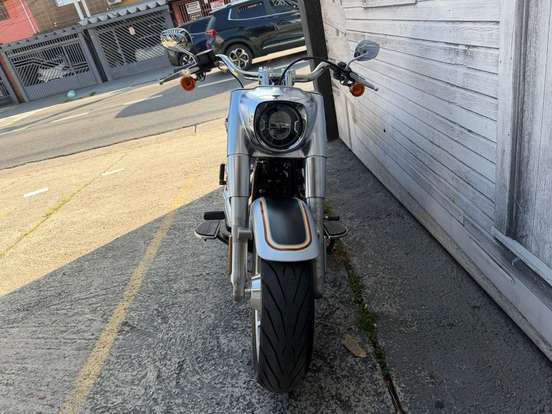 HARLEY-DAVIDSON-SOFTAIL FAT BOY-2019