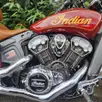 INDIAN SCOUT INDIAN SCOUT