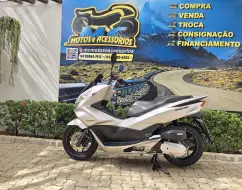 HONDA PCX HONDA PCX