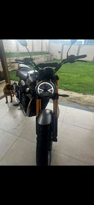 TRIUMPH-SCRAMBLER 400 X-2025