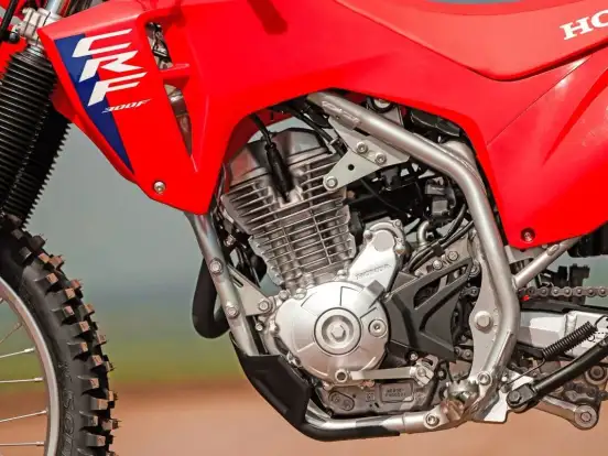 HONDA-CRF 300F HONDA-CRF 300F-2026