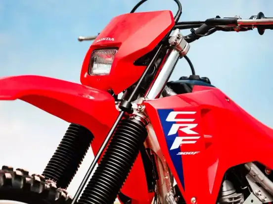 HONDA-CRF 300F HONDA-CRF 300F-2026