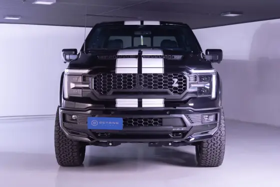 FORD F-150 5.0 V8 SHELBY 4WD SELECTSHIFT FORD F-150 5.0 V8 SHELBY 4WD SELECTSHIFT