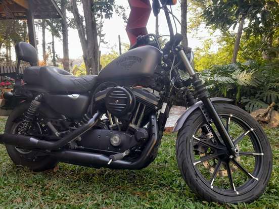 HARLEY-DAVIDSON-SPORTSTER IRON 883 HARLEY-DAVIDSON-SPORTSTER IRON 883-2016