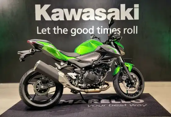 KAWASAKI-Z500 KAWASAKI-Z500-2025