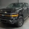 FORD F-150 5.0 V8 GASOLINA CD TREMOR FX4 AUTOMÁTICO FORD F-150 5.0 V8 GASOLINA CD TREMOR FX4 AUTOMÁTICO