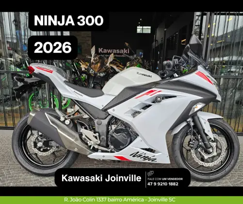 KAWASAKI NINJA 300 KAWASAKI NINJA 300