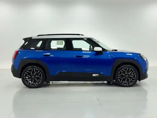 MINI-ACEMAN-2025
