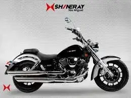 SHINERAY-DENVER 250-2025