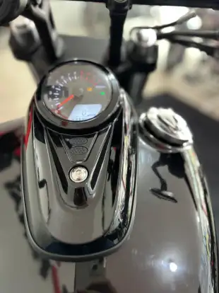SHINERAY-IRON 250 SHINERAY-IRON 250-2026