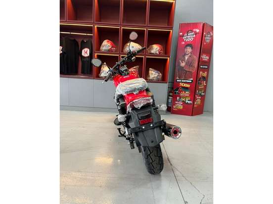 SHINERAY-IRON 250 SHINERAY-IRON 250-2026