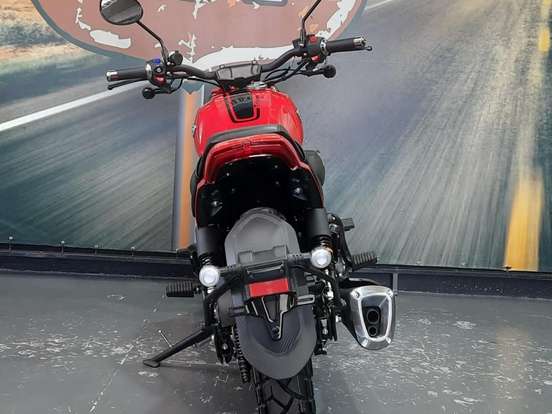 SHINERAY-TITANIUM 250 SHINERAY-TITANIUM 250-2026