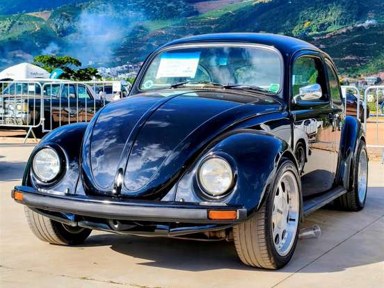 VOLKSWAGEN-FUSCA-1.6 8V GASOLINA 2P MANUAL VOLKSWAGEN-FUSCA-1996