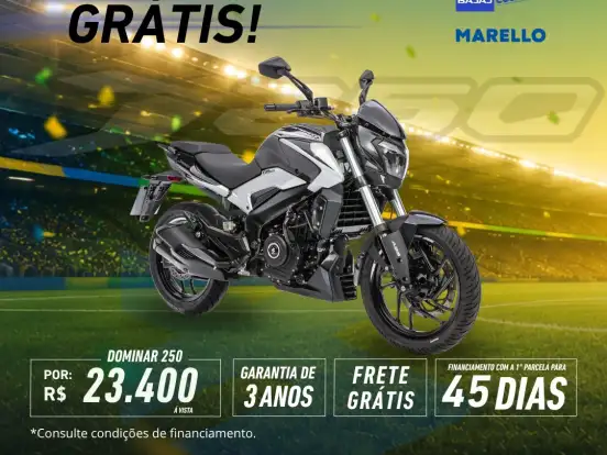 BAJAJ-DOMINAR 250 BAJAJ-DOMINAR 250-2026