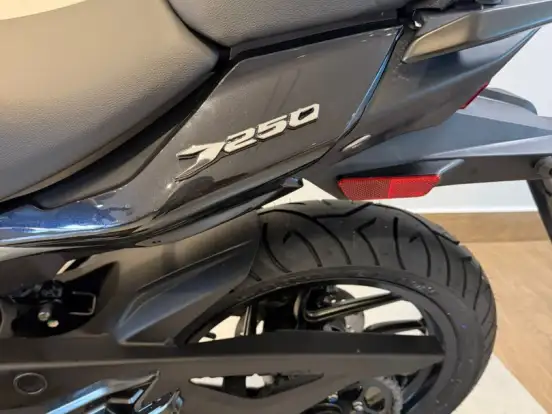 BAJAJ-DOMINAR 250 BAJAJ-DOMINAR 250-2026