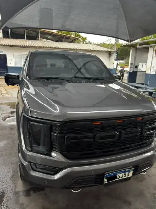 FORD F-150 5.0 V8 GASOLINA CD PLATINUM FX4 AUTOMÁTICO