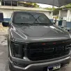 FORD F-150 5.0 V8 GASOLINA CD PLATINUM FX4 AUTOMÁTICO FORD F-150 5.0 V8 GASOLINA CD PLATINUM FX4 AUTOMÁTICO
