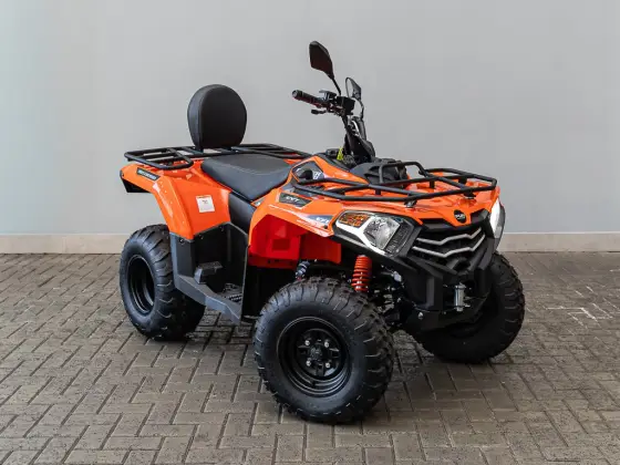 FUN MOTORS FARMER 300 FUN MOTORS FARMER 300