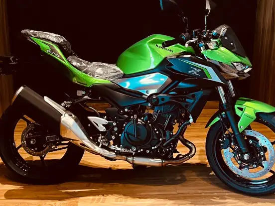 KAWASAKI-Z500 KAWASAKI-Z500-2025