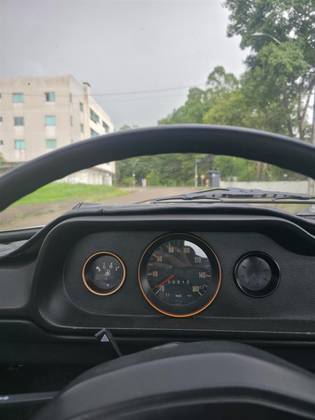 VOLKSWAGEN BRASILIA 1.6 8V GASOLINA 2P MANUAL