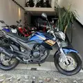 YAMAHA YS 250 FAZER BLUEFLEX YAMAHA YS 250 FAZER BLUEFLEX