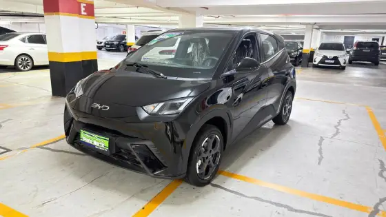 BYD DOLPHIN MINI 38 KW ELÉTRICO GL BYD DOLPHIN MINI 38 KW ELÉTRICO GL