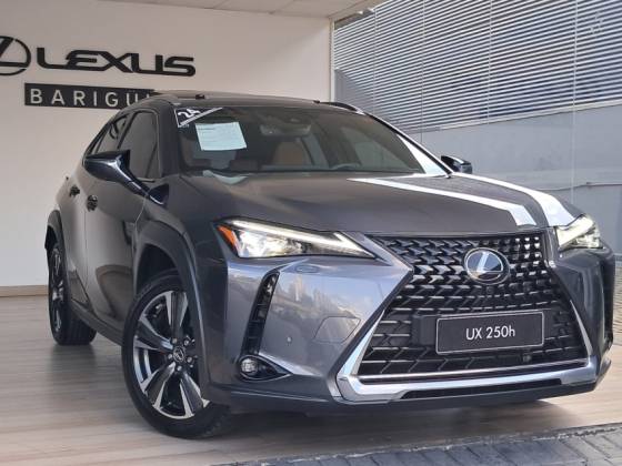 LEXUS UX 250h 2.0 VVT-I HYBRID LUXURY CVT