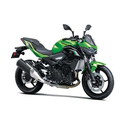 KAWASAKI-Z500-2025