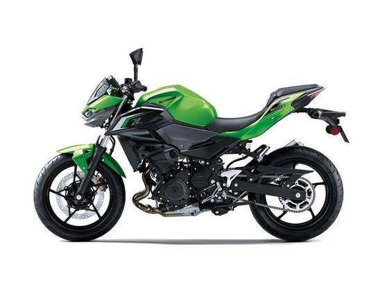 KAWASAKI-Z500 KAWASAKI-Z500-2025