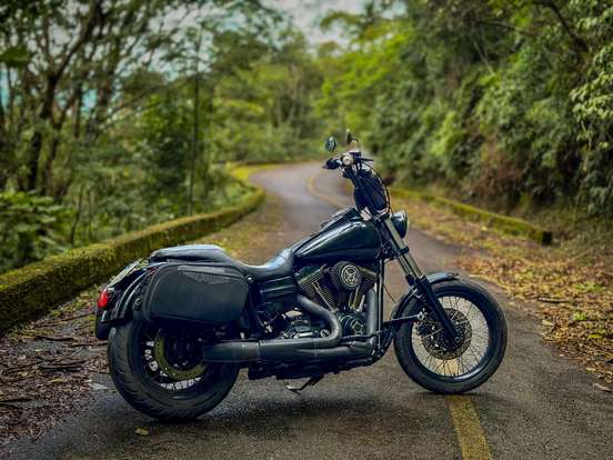 HARLEY-DAVIDSON-DYNA SUPER GLIDE CUSTOM HARLEY-DAVIDSON-DYNA SUPER GLIDE CUSTOM-2008