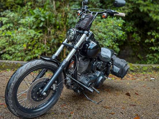 HARLEY-DAVIDSON-DYNA SUPER GLIDE CUSTOM HARLEY-DAVIDSON-DYNA SUPER GLIDE CUSTOM-2008