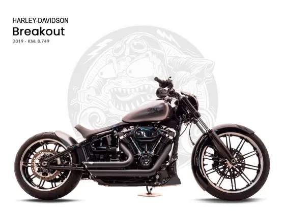HARLEY-DAVIDSON SOFTAIL BREAKOUT 114 