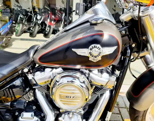 HARLEY-DAVIDSON-SOFTAIL FAT BOY HARLEY-DAVIDSON-SOFTAIL FAT BOY-2019