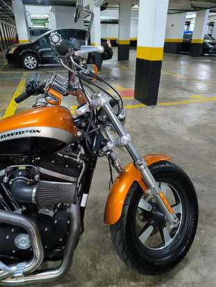HARLEY-DAVIDSON-SPORTSTER 1200 CUSTOM CA LIMITED-2015